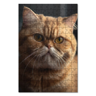 Wooden Puzzle Exotic Shorthair cat realistic