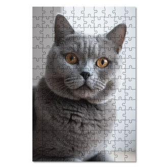 Wooden Puzzle British Shorthair cat realistic