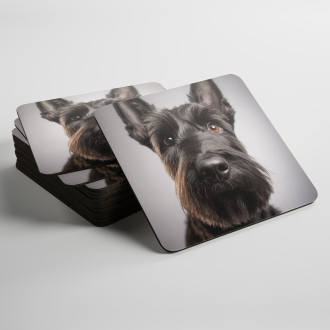 Coasters Scottish Terrier realistic