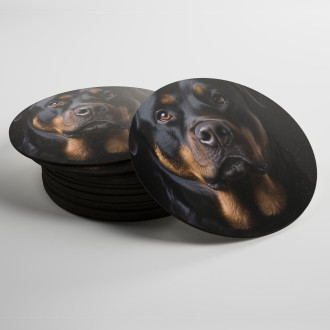 Coasters Rottweiler realistic
