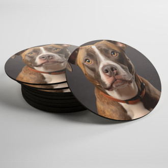 Coasters American Staffordshire Terrier realistic