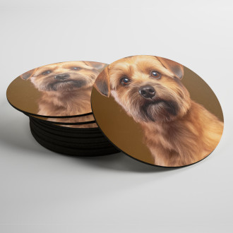 Coasters Norfolk Terrier realistic