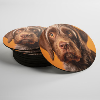 Coasters Wirehaired Pointing Griffon realistic