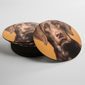 Coasters German Wirehaired Pointer realistic