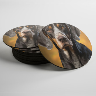 Coasters Bluetick Coonhound realistic