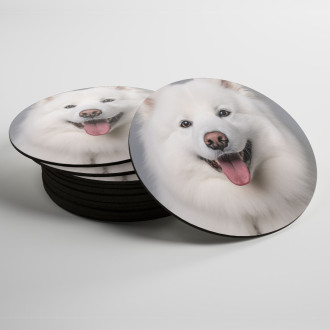 Coasters Samoyed realistic
