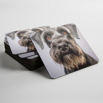 Coasters Cesky Terrier realistic