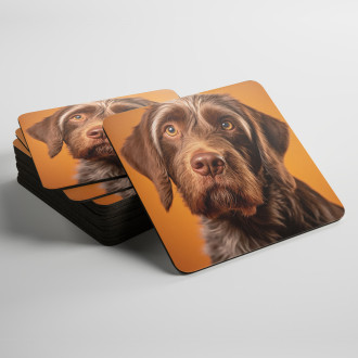 Coasters Wirehaired Pointing Griffon realistic