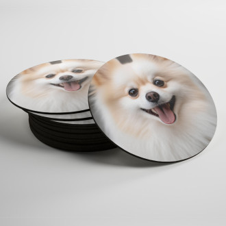 Coasters Pomeranian realistic