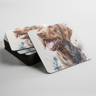 Coasters Wirehaired Pointing Griffon watercolor