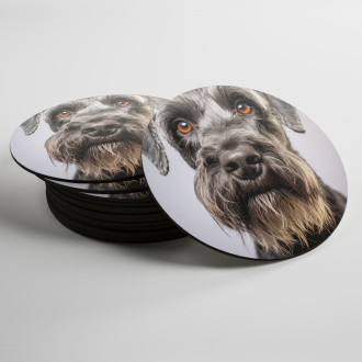 Coasters Cesky Terrier realistic