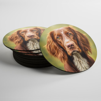 Coasters Irish Red and White Setter realistic