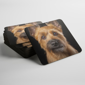 Coasters Norwich Terrier realistic