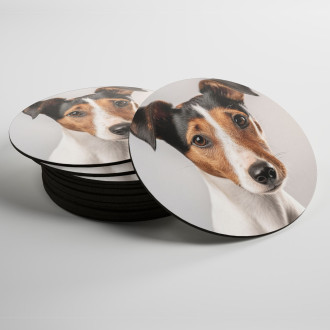 Coasters Smooth Fox Terrier realistic