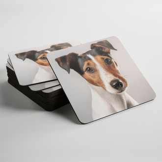 Coasters Smooth Fox Terrier realistic