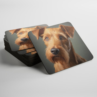 Coasters Irish Terrier realistic