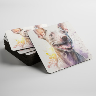 Coasters American Hairless Terrier watercolor