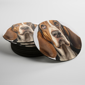 Coasters Basset hound realistic