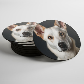 Coasters Canaan Dog realistic