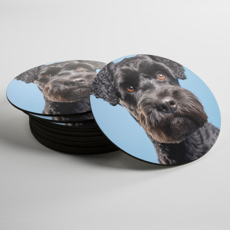 Coasters Kerry Blue Terrier realistic