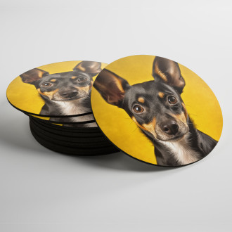 Coasters Rat Terrier realistic