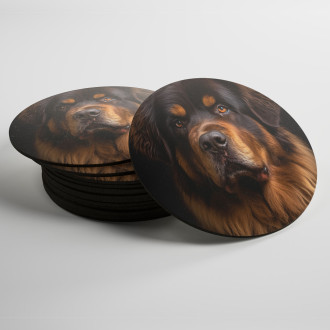 Coasters Tibetan Mastiff realistic