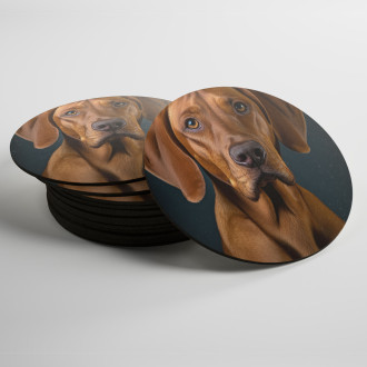 Coasters Redbone Coonhound realistic