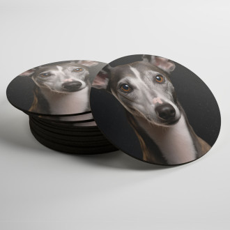 Coasters Whippet realistic