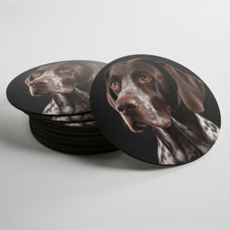 Coasters German Shorthaired Pointer realistic