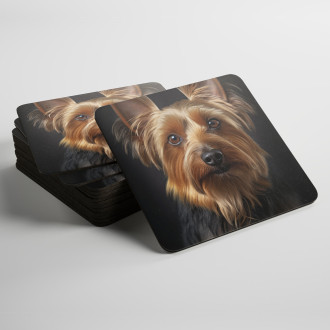 Coasters Silky Terrier realistic