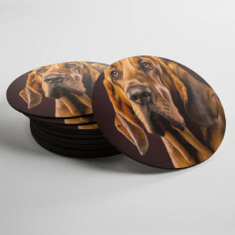 Coasters Bloodhound realistic