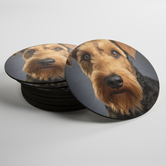 Coasters Airedale Terrier realistic
