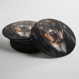 Coasters Entlebucher Mountain Dog realistic
