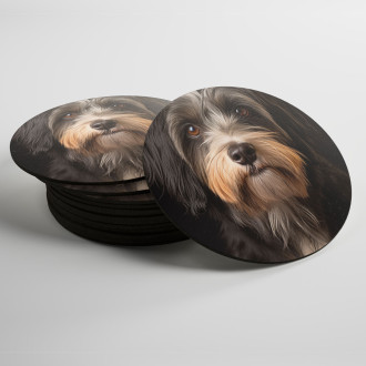 Coasters Tibetan Terrier realistic