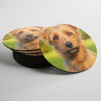 Coasters Australian Terrier realistic