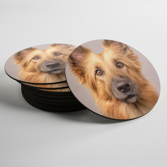 Coasters Berger Picard realistic