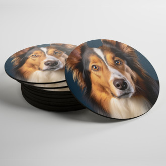 Coasters Collie realistic