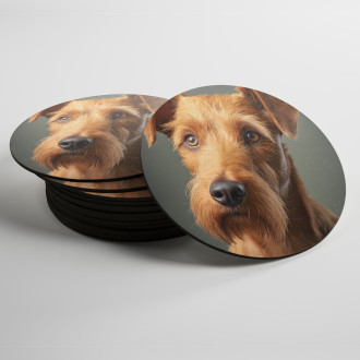Coasters Irish Terrier realistic