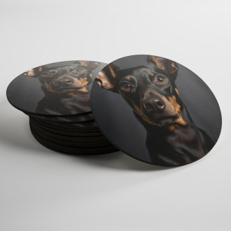 Coasters Manchester Terrier realistic