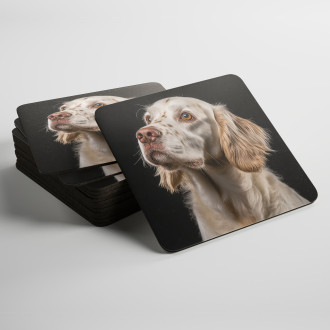 Coasters Clumber Spaniel realistic