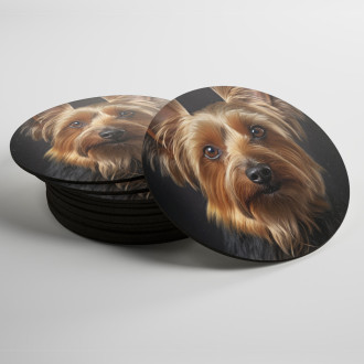 Coasters Silky Terrier realistic