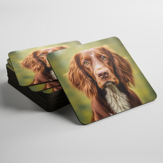 Coasters Irish Red and White Setter realistic