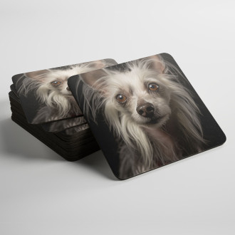 Coasters Chinese Crested realistic