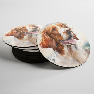Coasters Brittany watercolor