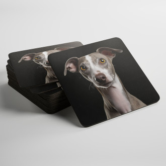 Coasters Italian Greyhound realistic