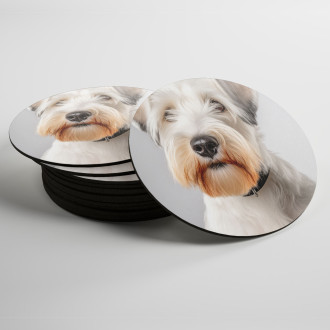 Coasters Sealyham Terrier realistic