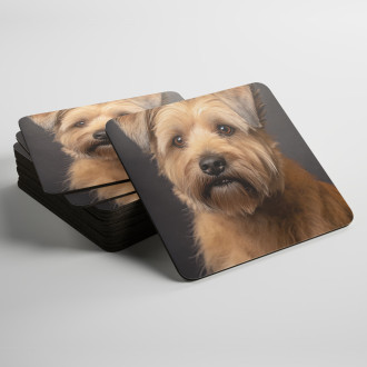 Coasters Glen of Imaal Terrier realistic