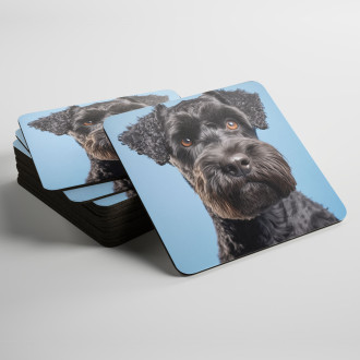 Coasters Kerry Blue Terrier realistic