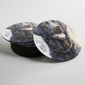 Coasters Curly Coated Retriever watercolor