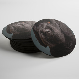 Coasters Black Russian Terrier realistic